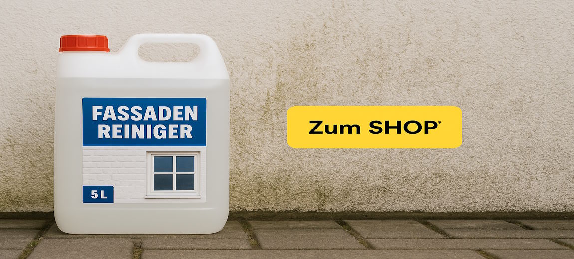 Fassadenreiniger günstig